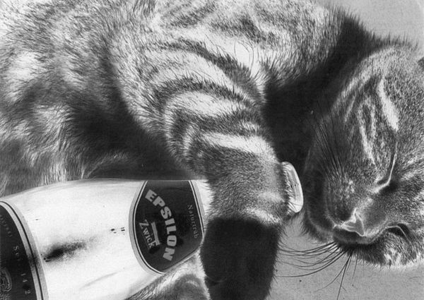  Erste Epsilon EP "Simple Life" online zum streamen